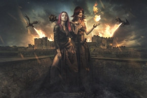 Picture for category Duality